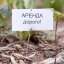 Минпромторг России разработал поправки в Земельный кодекс, направленные на защиту прав ритейлеров и производителей