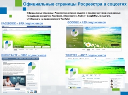 Росреестр отчитался об активности в сети Интернет