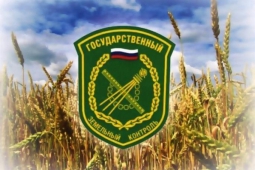 За самовольное занятие земельных участков полагаются существенные штрафы За самовольное занятие земельных участков полагаются существенные штрафы