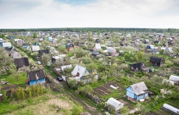 ​Конец "амнистии": дачники ринулись в Росреестр