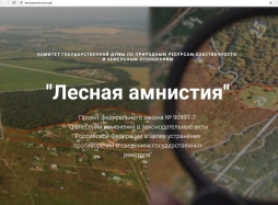 Гражданам России будет объявлена "лесная амнистия"
