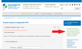 При регистрации прав на объект недвижимости представлять выписку ЕГРН на данный объект не нужно