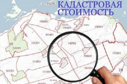 Почему у отдельных объектов недвижимости отсутствует кадастровая стоимость