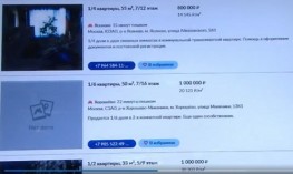 В России активизировались &laquo;профессиональные соседи&raquo;