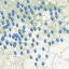 ФГБУ "Центр геодезии, картографии и ИПД" создана интерактивная карта дифференциальных станций геодезических сетей специального назначения