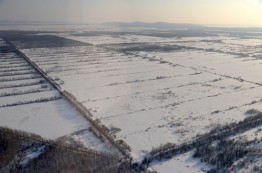 С 1 января 2018 г. получить "дальневосточный гектар" стало проще