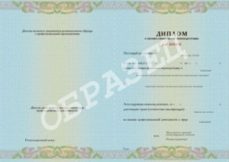 Профессиональная переподготовка и повышение квалификации. Профессиональная переподготовка и повышение квалификации.