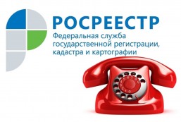 В Кадастровой палате по Псковской области прошла «горячая линия». В Кадастровой палате по Псковской области прошла «горячая линия».