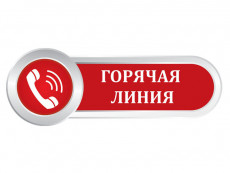 Кадастровая палата ответит на вопросы о «лесной амнистии» Кадастровая палата ответит на вопросы о «лесной амнистии»